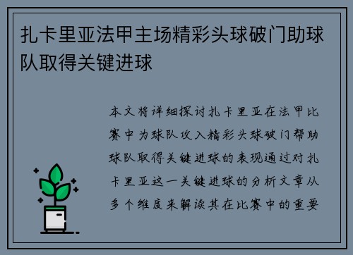 扎卡里亚法甲主场精彩头球破门助球队取得关键进球 扎卡里亚法甲主场精彩头球破门助球队取得关键进球